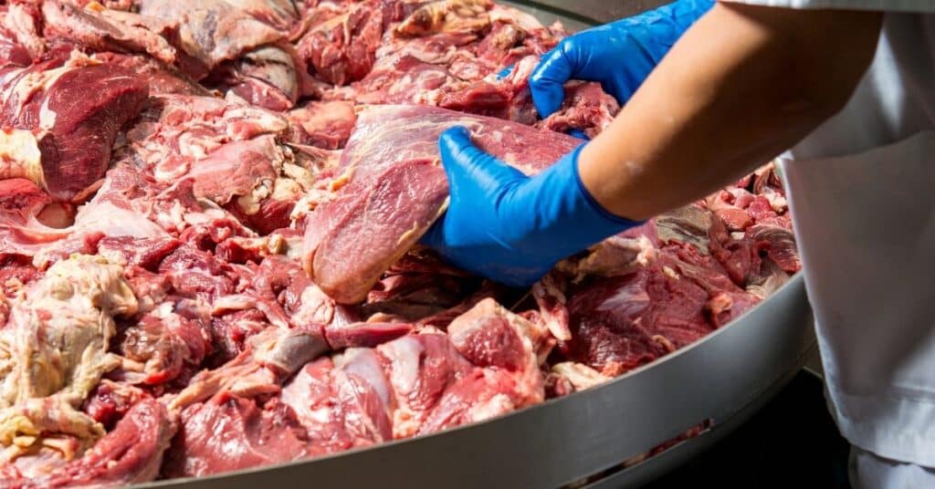 Handling meat at a factory.