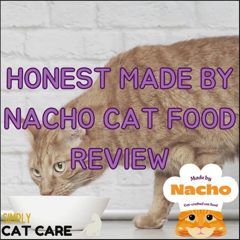 Honest Made By Nacho Cat Food Review