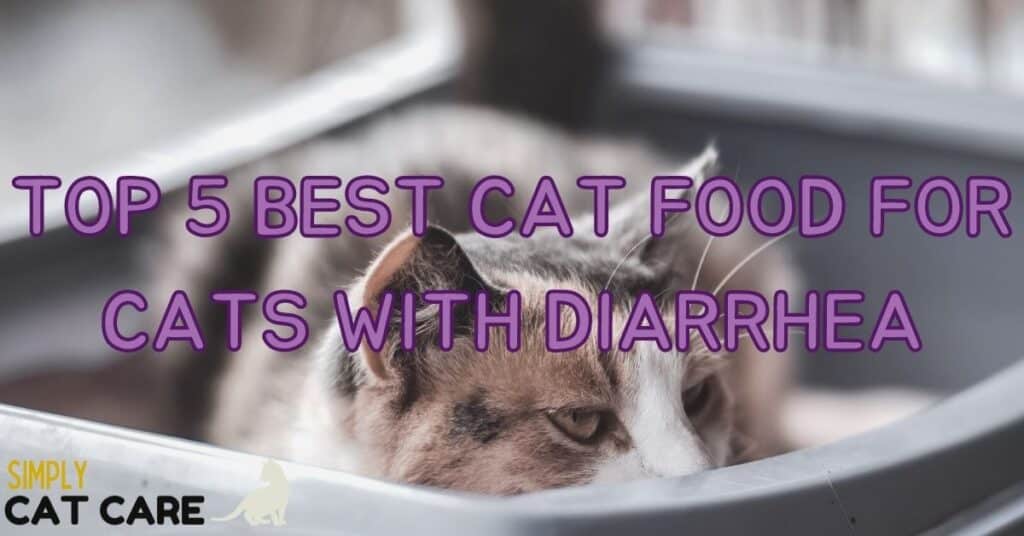 Top 5 Best Cat Food For Cats With Diarrhea