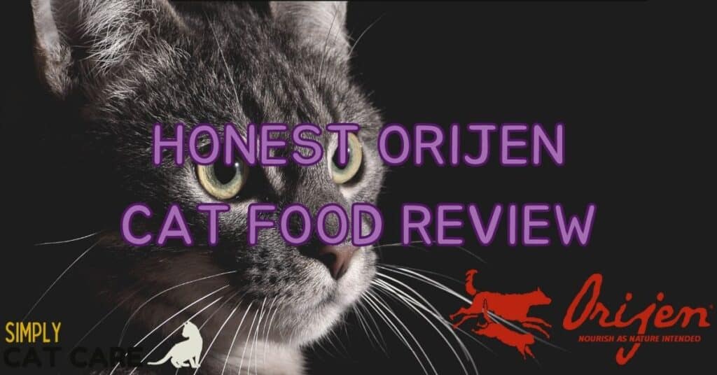 Honest Orijen Cat Food Review