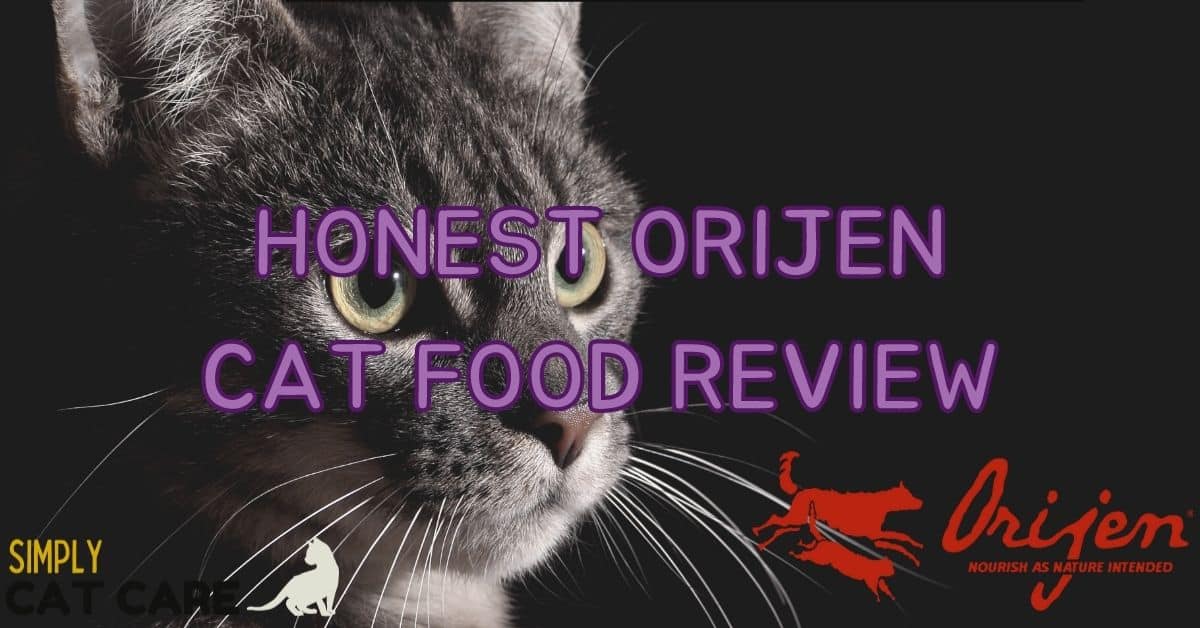Honest Orijen Cat Food Review 2023 Simply Cat Care