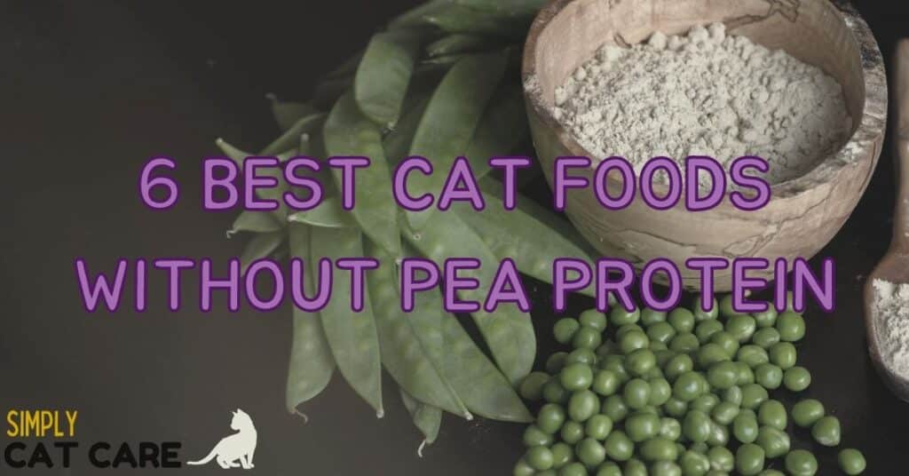 Best cat foods without pea protein.