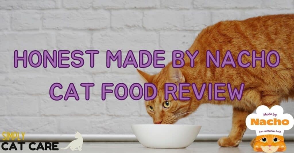 Honest Made By Nacho Cat Food Review