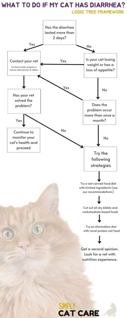What to do if my cat has diarrhea? Flow chart