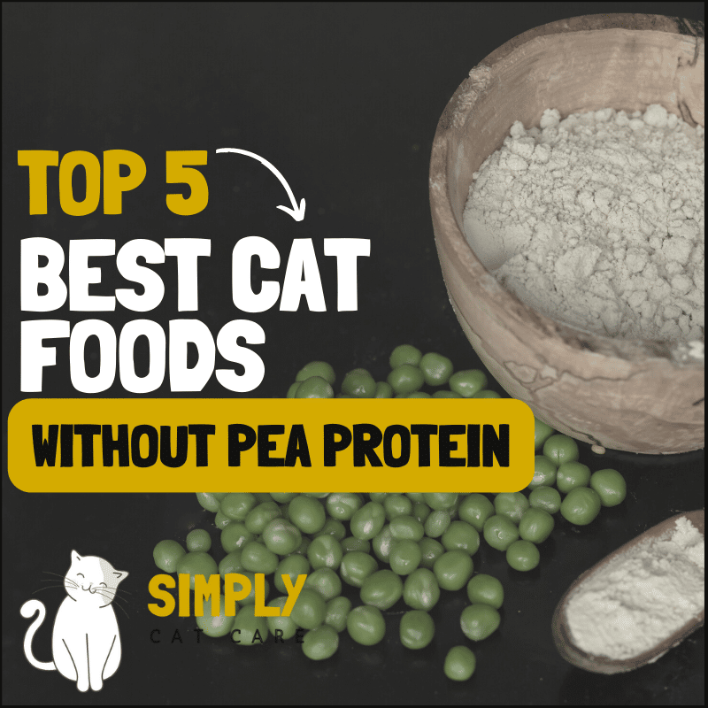 5 Best Cat Foods Without Pea Protein for Easy Digestion