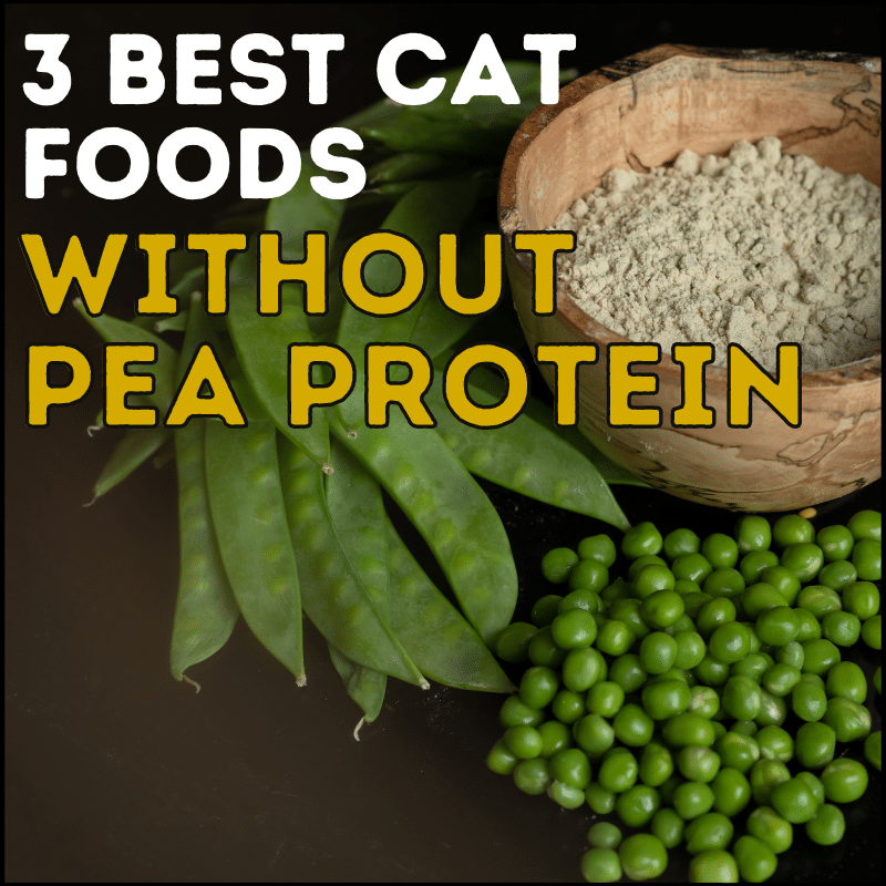 grain free cat food without peas