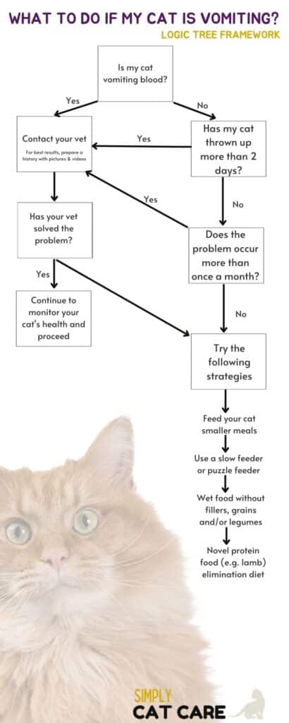 What to do if your cat is vomiting logic tree
