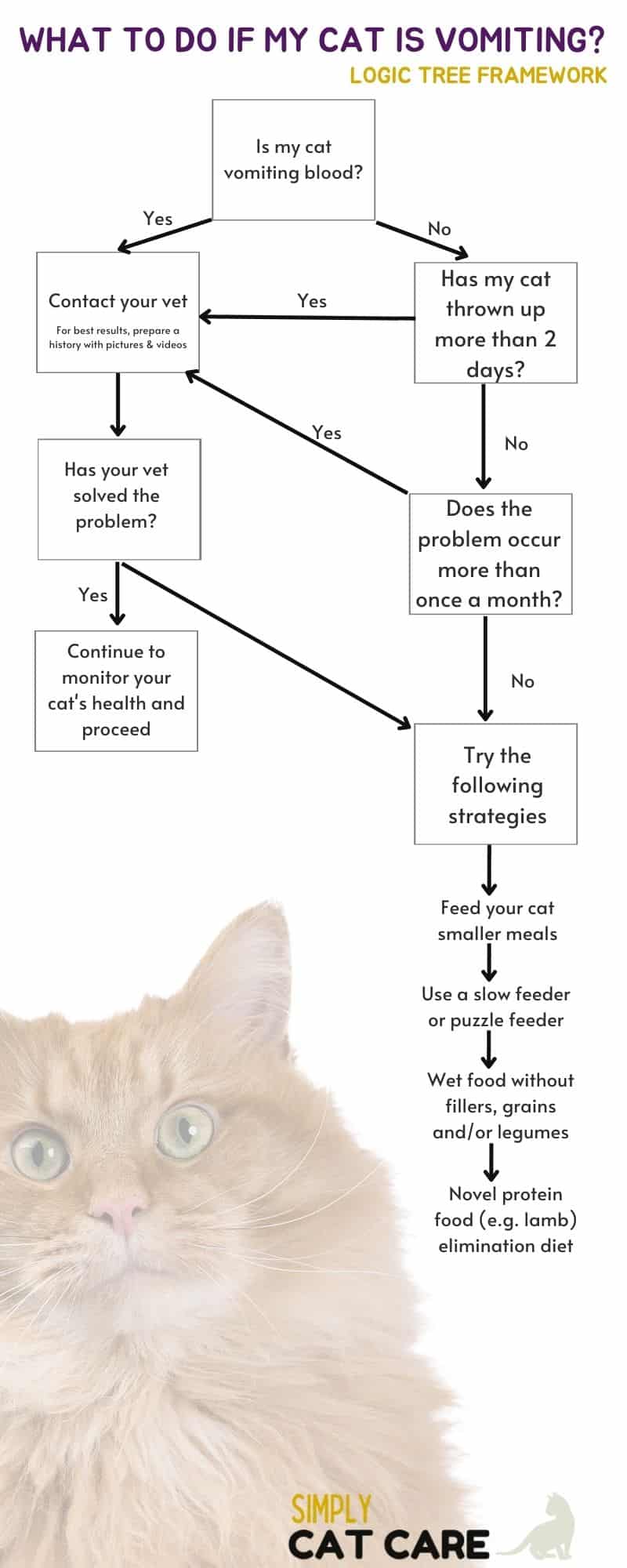 How To Treat A Cat That Is Vomiting 2022 Simply Cat Care