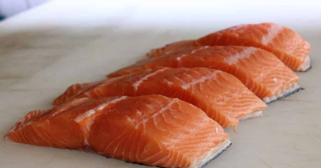 Kittens benefit from salmon as this contains a high amount of omega 3 fatty acids. This nutrient may improve learning.