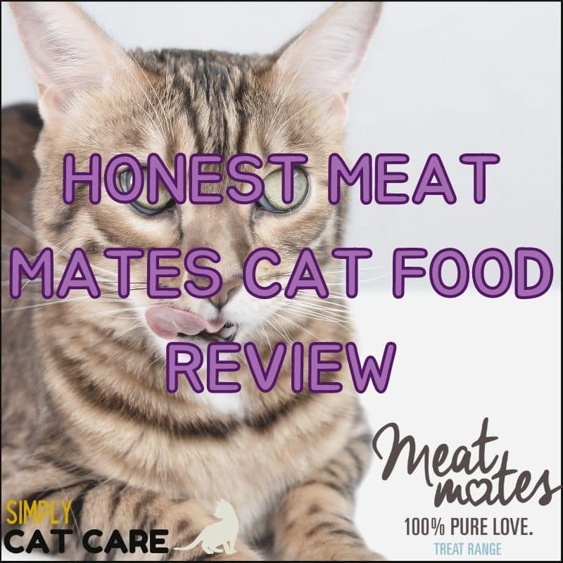 Honest Meat Mates Cat Food Review