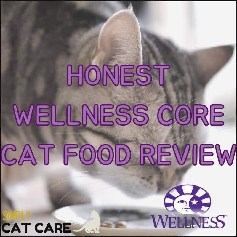 Wellness Core Cat Food Review