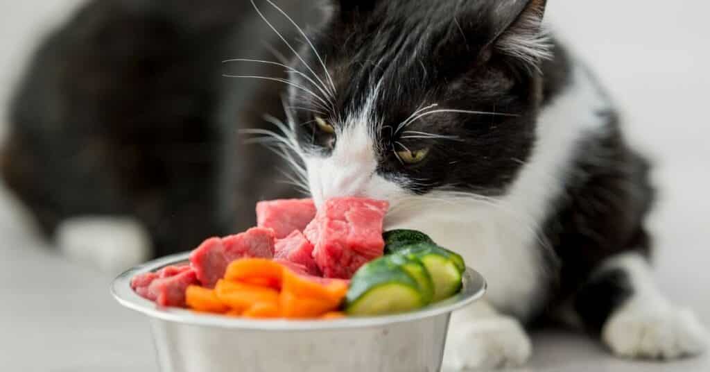 A cat sniffing meat.