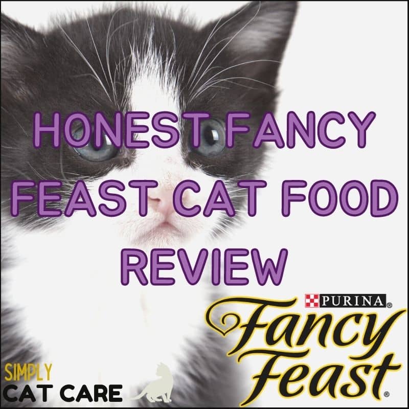 Fancy Feast cat food review