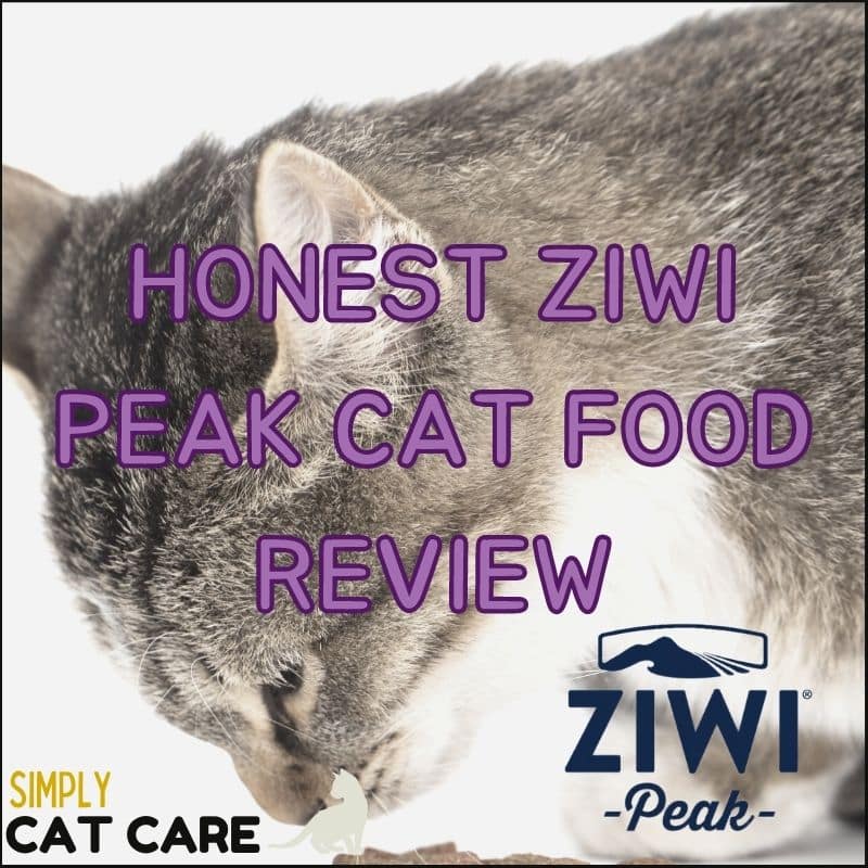 Honest Ziwi Peak Cat Food Review