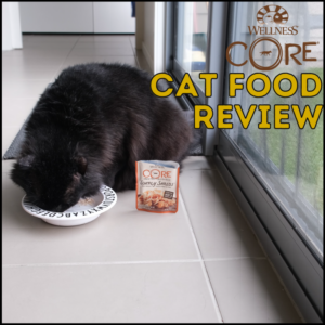 Wellness Core cat food review