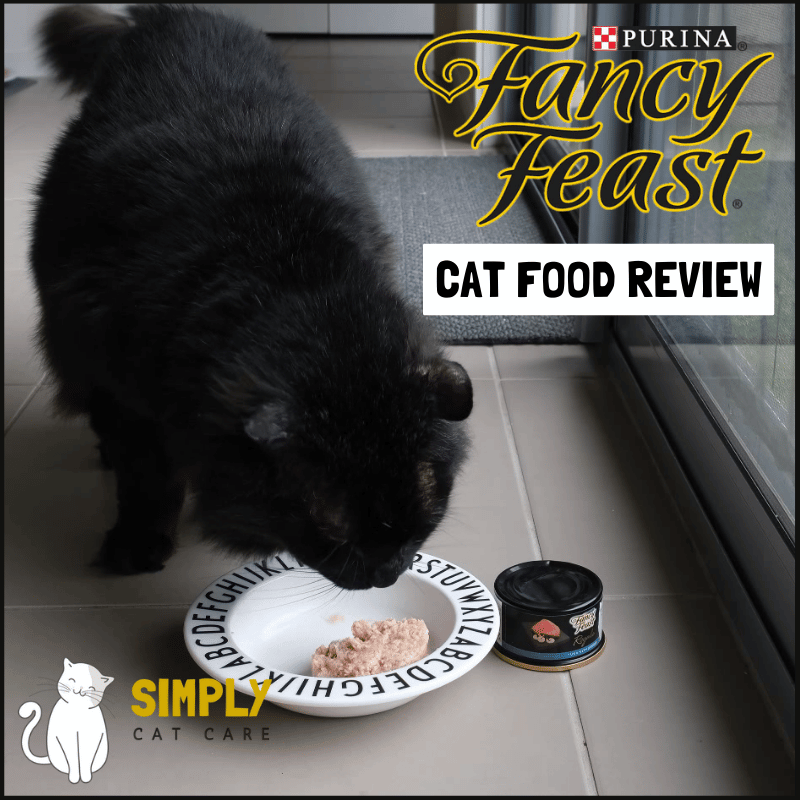 Honest Fancy Feast Cat Food Review
