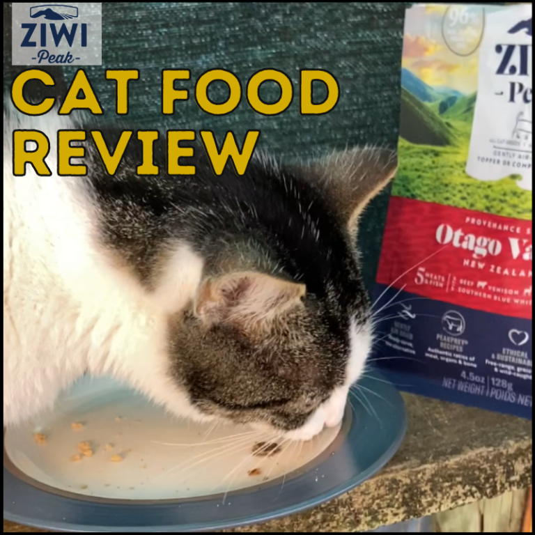 honest-optimum-cat-food-review-in-2023