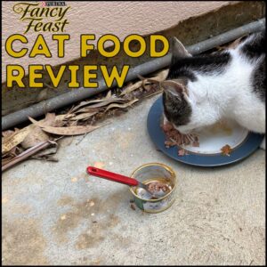 Fancy Feast Cat Food Review