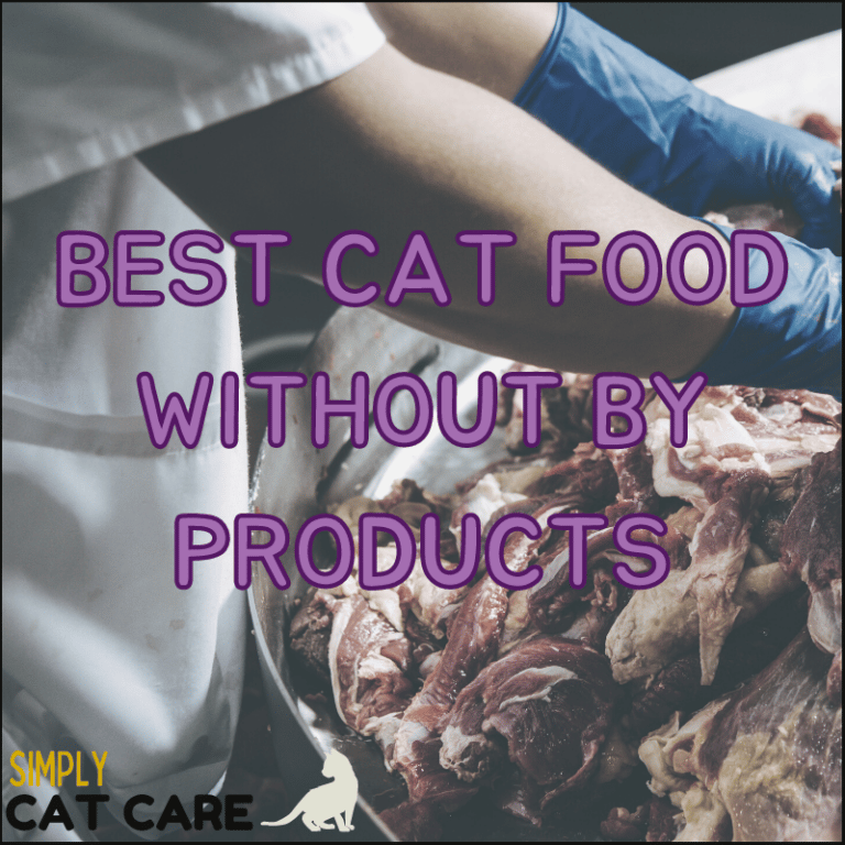 5 Best Cat Food for Cats with Diarrhea 2022 Simply Cat Care