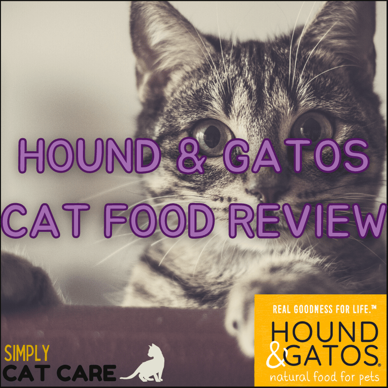 Hound and Gatos cat food review