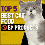 5 Best Cat Food Without By Products