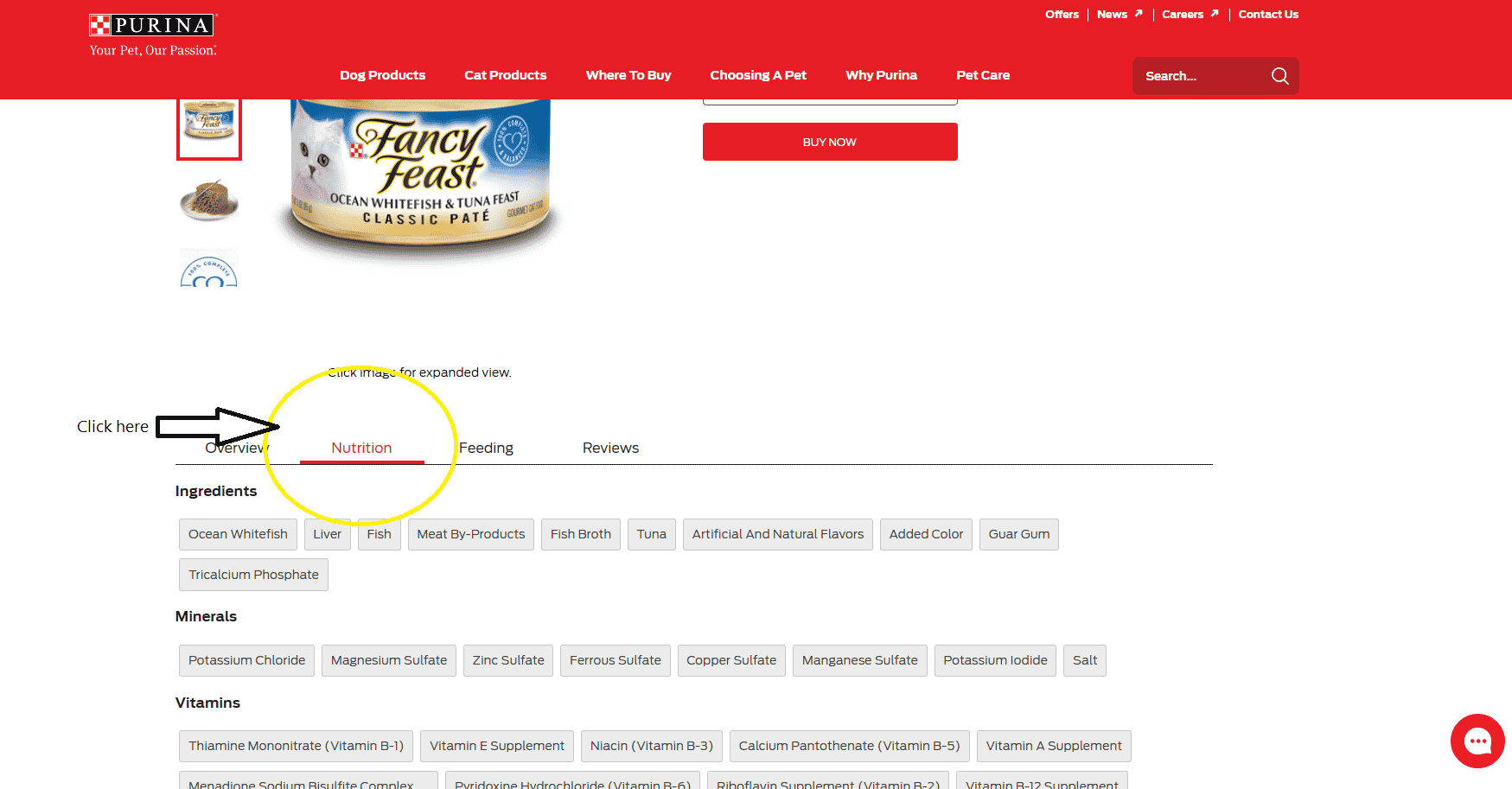 Honest Fancy Feast Cat Food Review in 2023