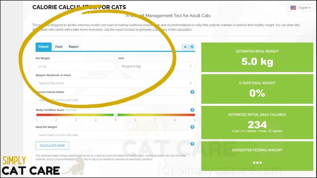 Use an online calorie calculator for cats. Enter their weight and what unit you used.