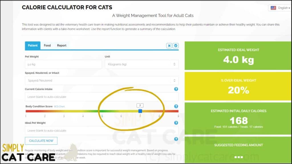 An online calorie calculator for cats. Use the slider to enter your cats body condition score (note how this adjust calorie needs).