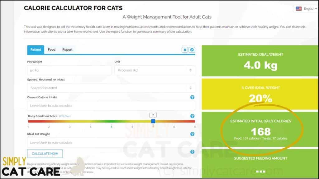An online calorie calculator for cats. Find out how much to feed your cat.