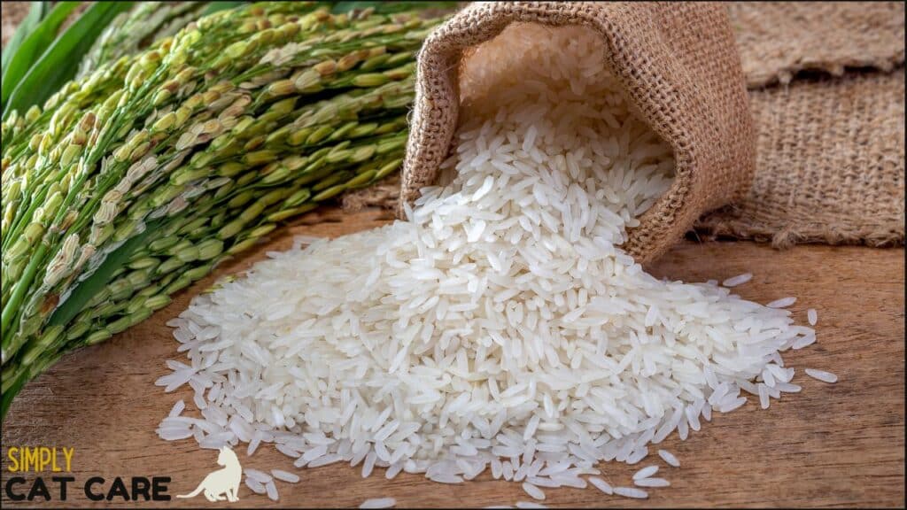 A bag of rice