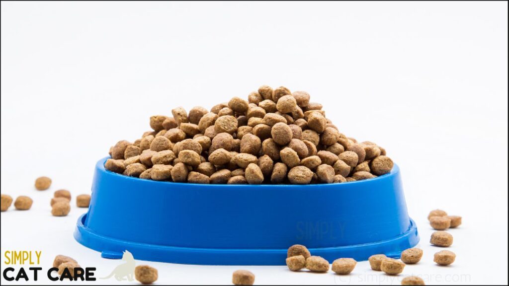 Free-feeding a cat dry food can push up calories. Measure food carefully to prevent weight gain.