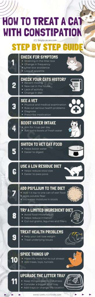How to Treat a Cat with Constipation (step-by-step infographic)