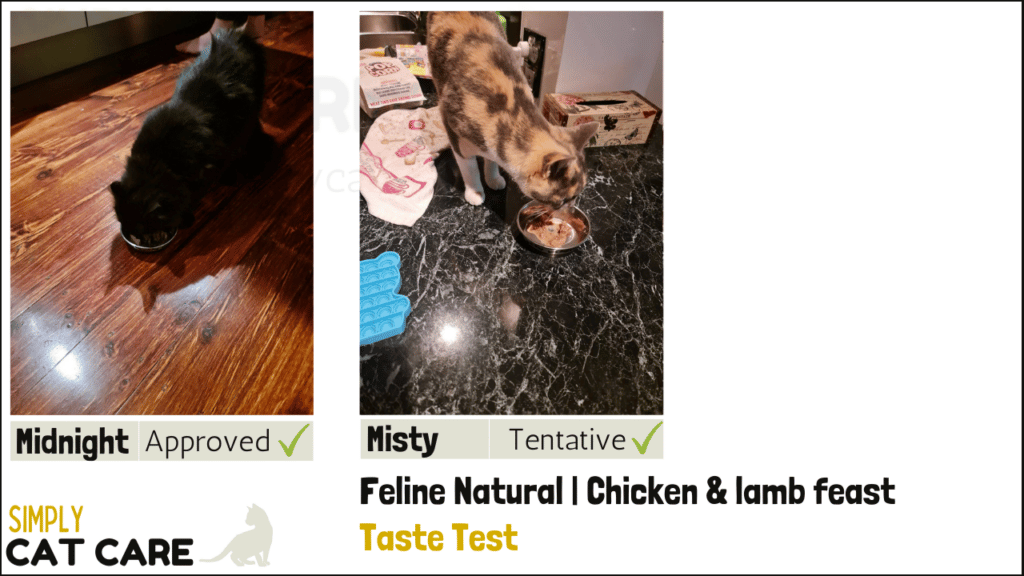 Feline Natural chicken & lamb feast taste test