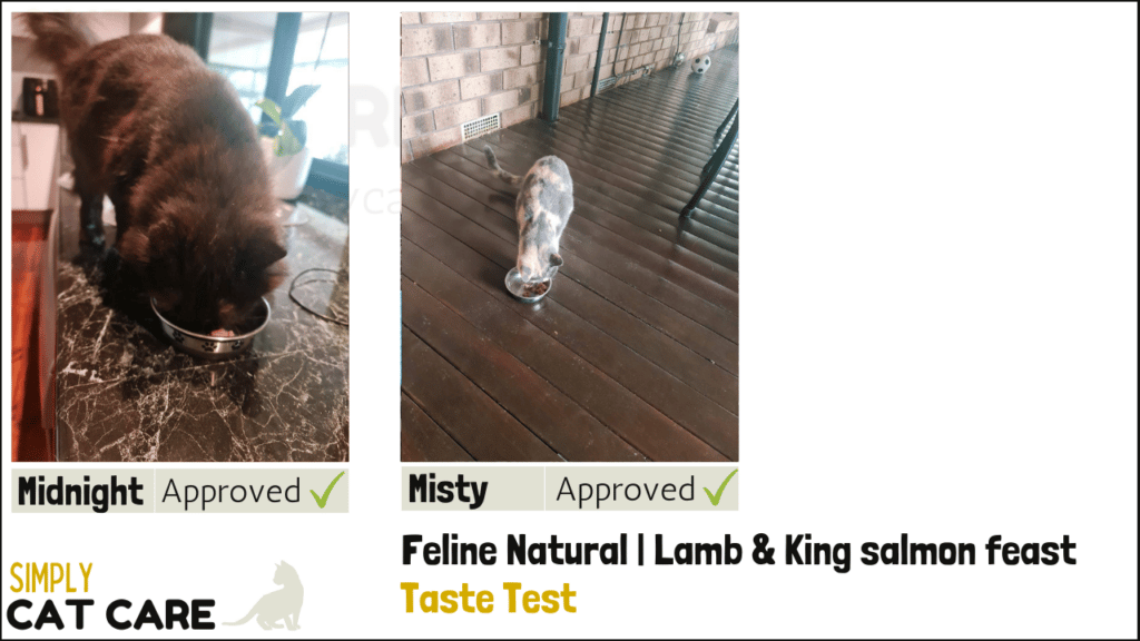 Feline Natural lamb & King salmon feast taste test