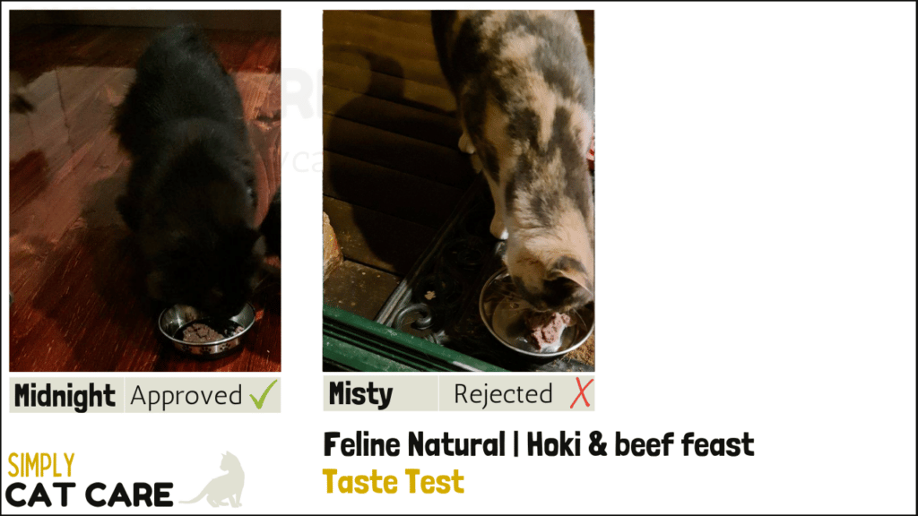 Feline Natural Hoki & beef feast taste test