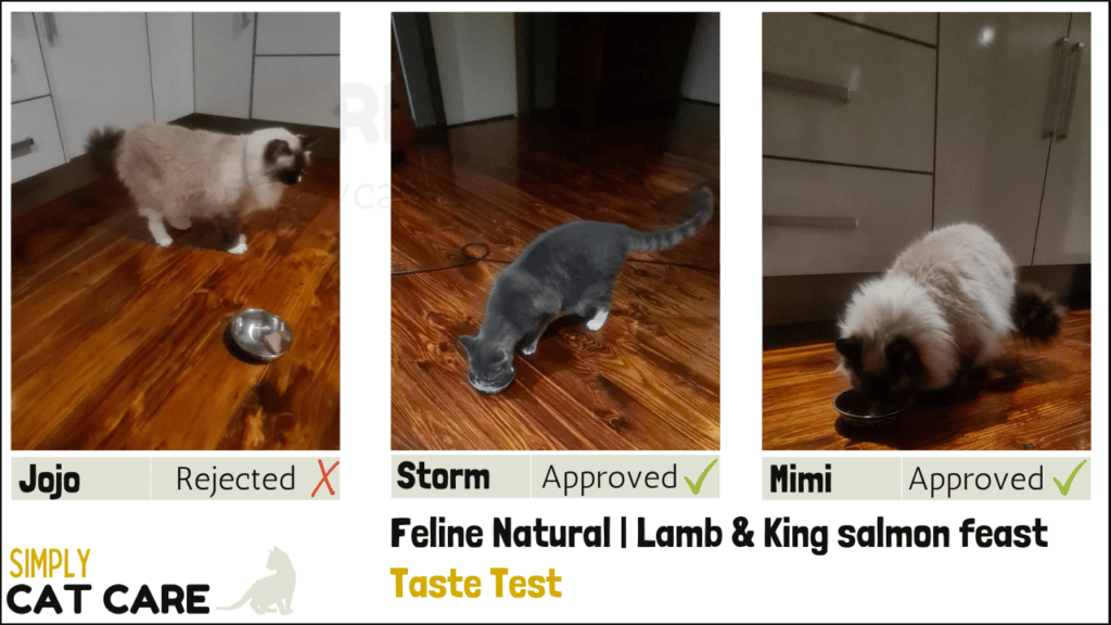 Feline Natural lamb & King salmon feast taste test