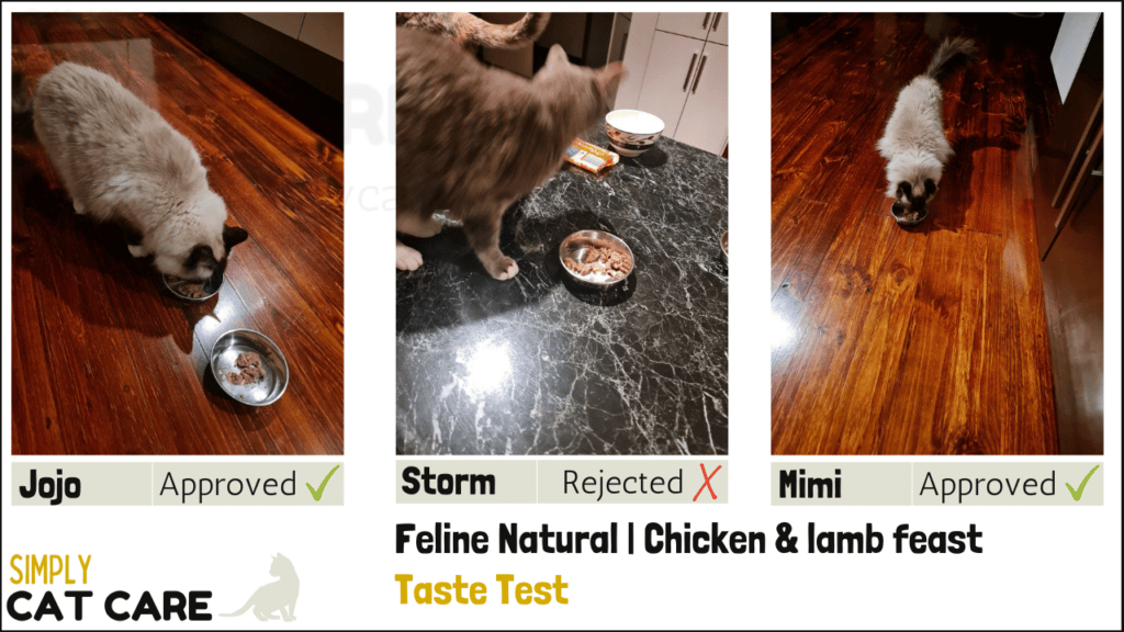 Feline Natural chicken & lamb feast taste test