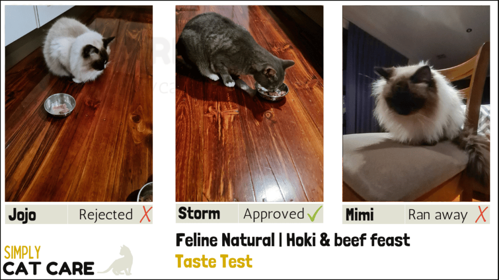 Feline Natural Hoki & beef feast taste test