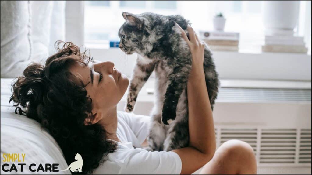Why do cats purr? Relaxation, stress relief, healing and soliciting food are reasons
