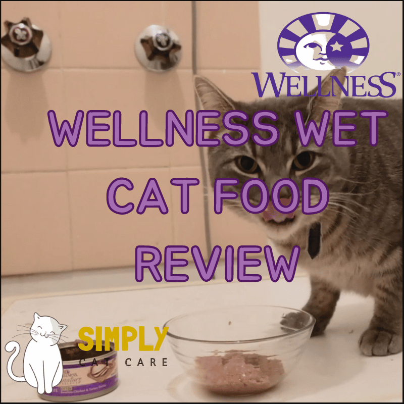 Wellness wet cat food review