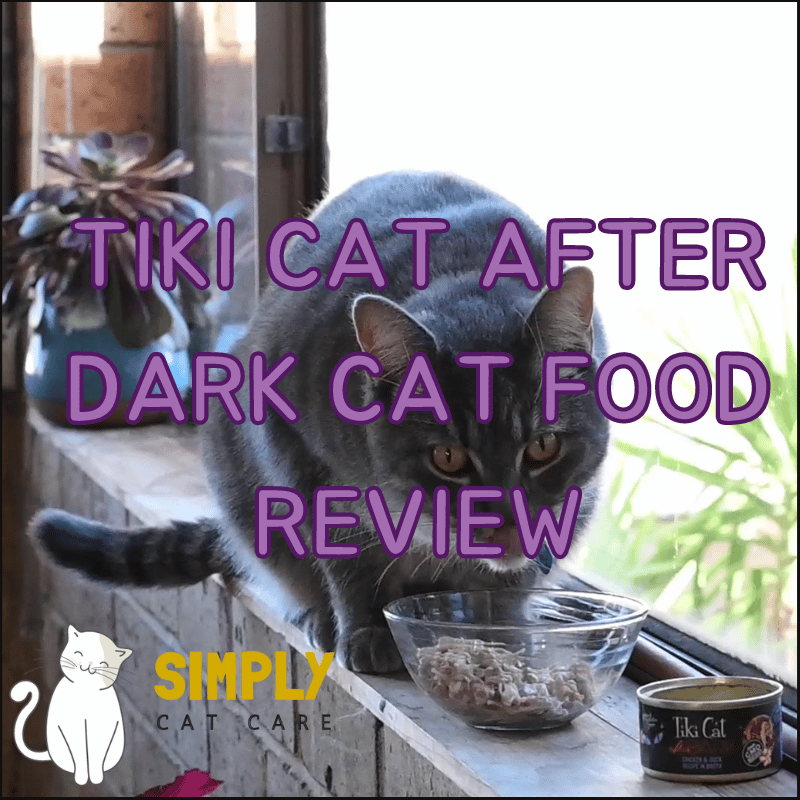 Tiki Cat After Dark cat food review