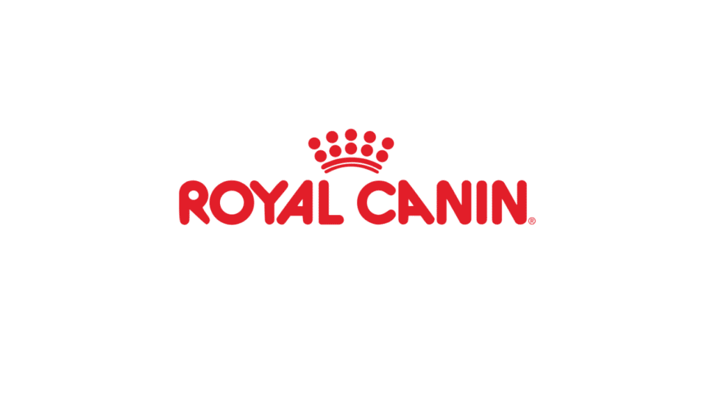 Royal Canin Kitten Food Review