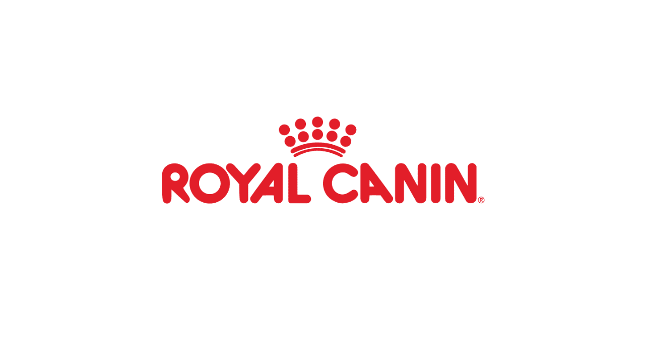 Honest Royal Canin Kitten Food Review 2024