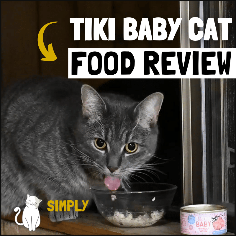 Tiki Baby Cat food review