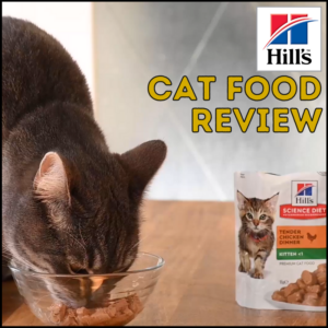Hills Science Diet cat food review