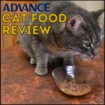 Advance wet cat food review