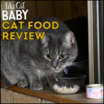 Tiki Cat Baby Cat Food Review