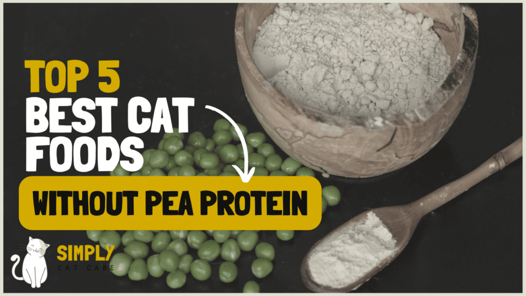 5 Best Cat Foods Without Pea Protein