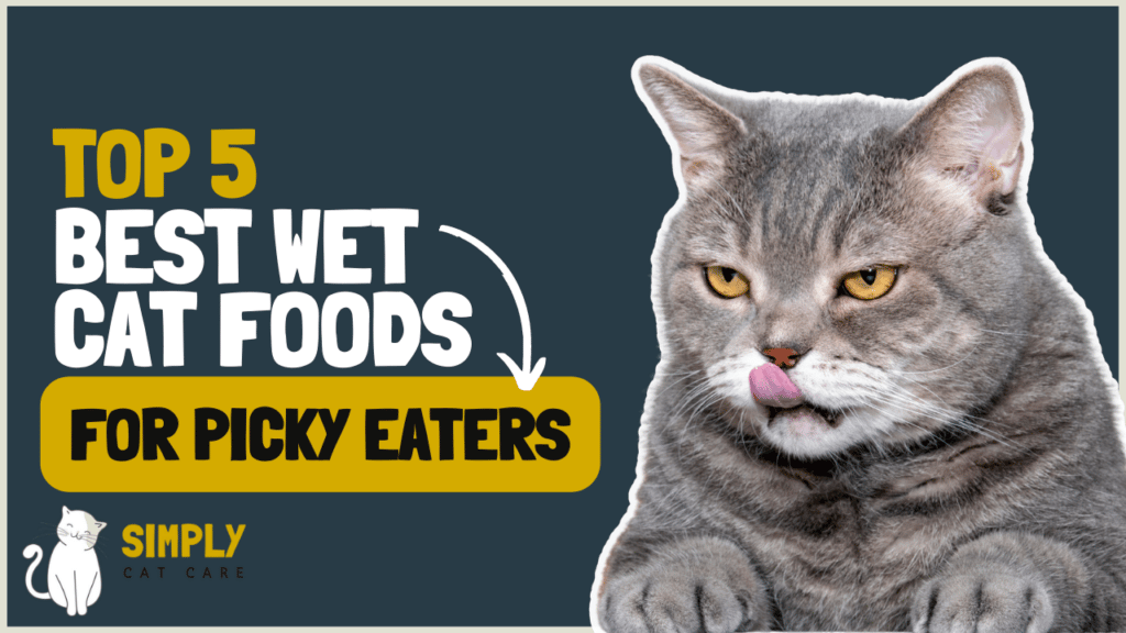 5 Best Wet Cat Foods for Picky Eaters