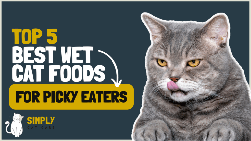 best wet cat food for finicky eaters